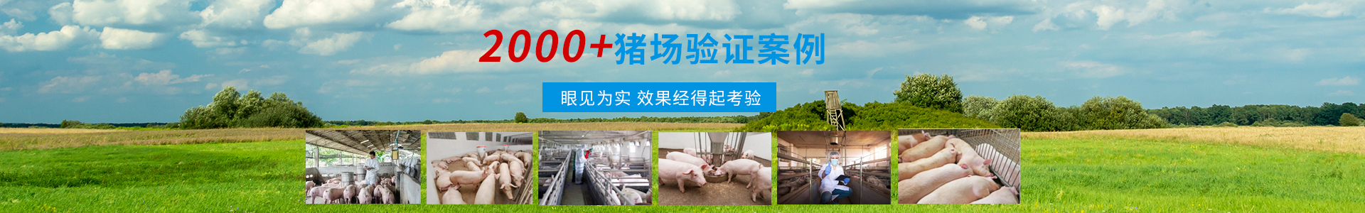 客戶服務(wù)-商丘市森澳達(dá)動物藥業(yè)有限公司