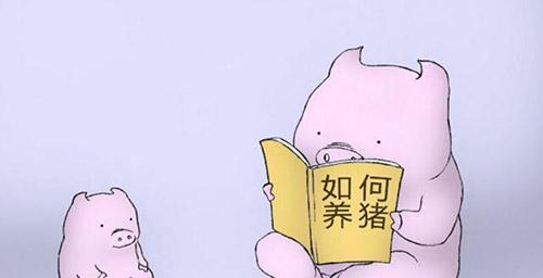 給豬用藥的幾大誤區(qū)！