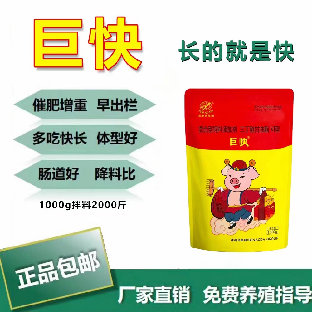 生豬如何高效催肥？